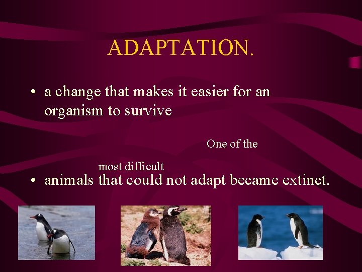 ADAPTATION. • a change that makes it easier for an organism to survive One