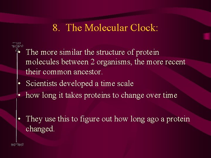 8. The Molecular Clock: • The more similar the structure of protein molecules between