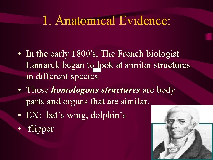 1. Anatomical Evidence: • In the early 1800's, The French biologist Lamarck began to