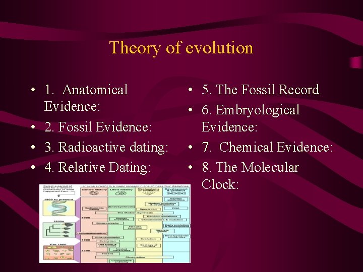 Theory of evolution • 1. Anatomical Evidence: • 2. Fossil Evidence: • 3. Radioactive