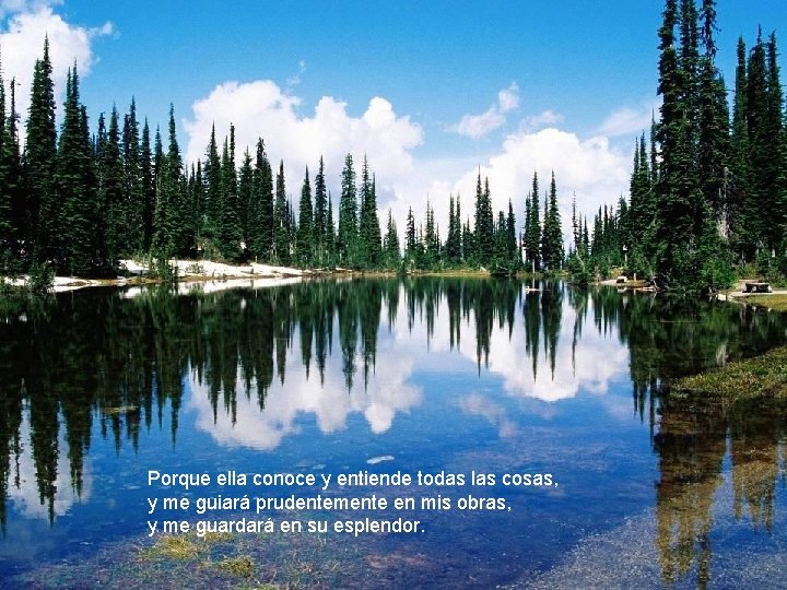 Porque ella conoce y entiende todas las cosas, y me guiará prudentemente en mis Porque ella conoce y entiende todas las cosas, y me guiará prudentemente en mis