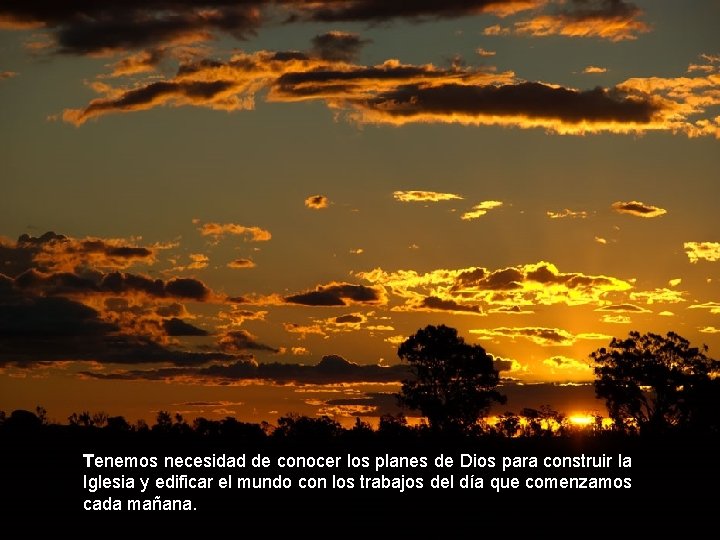 Tenemos necesidad de conocer los planes de Dios para construir la Iglesia y edificar Tenemos necesidad de conocer los planes de Dios para construir la Iglesia y edificar