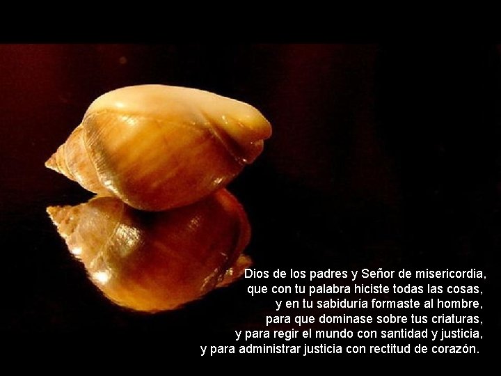 Dios de los padres y Señor de misericordia, que con tu palabra hiciste todas Dios de los padres y Señor de misericordia, que con tu palabra hiciste todas