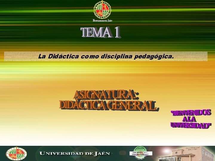La Didáctica como disciplina pedagógica. 