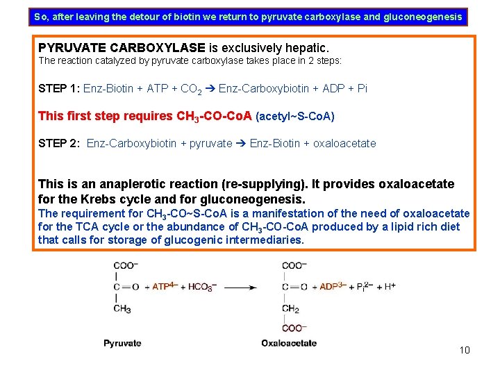 So, after leaving the detour of biotin we return to pyruvate carboxylase and gluconeogenesis