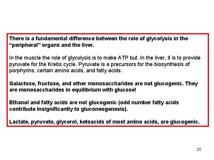 There is a fundamental difference between the role of glycolysis in the “peripheral” organs