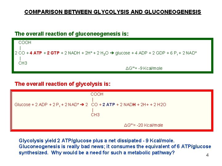 COMPARISON BETWEEN GLYCOLYSIS AND GLUCONEOGENESIS The overall reaction of gluconeogenesis is: COOH | 2