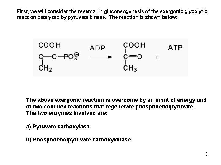 First, we will consider the reversal in gluconeogenesis of the exergonic glycolytic reaction catalyzed