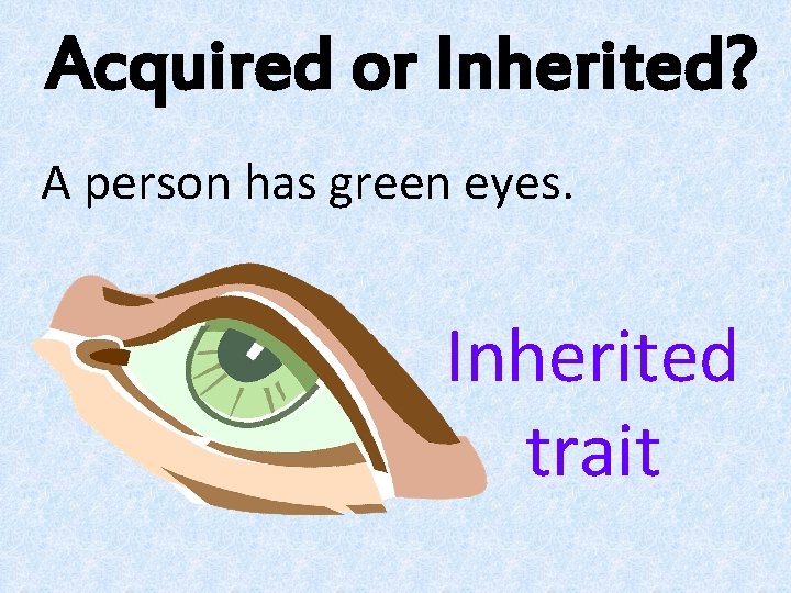 Acquired or Inherited? A person has green eyes. Inherited trait Acquired or Inherited? A person has green eyes. Inherited trait