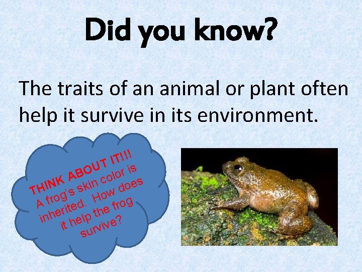 Did you know? The traits of an animal or plant often help it survive Did you know? The traits of an animal or plant often help it survive
