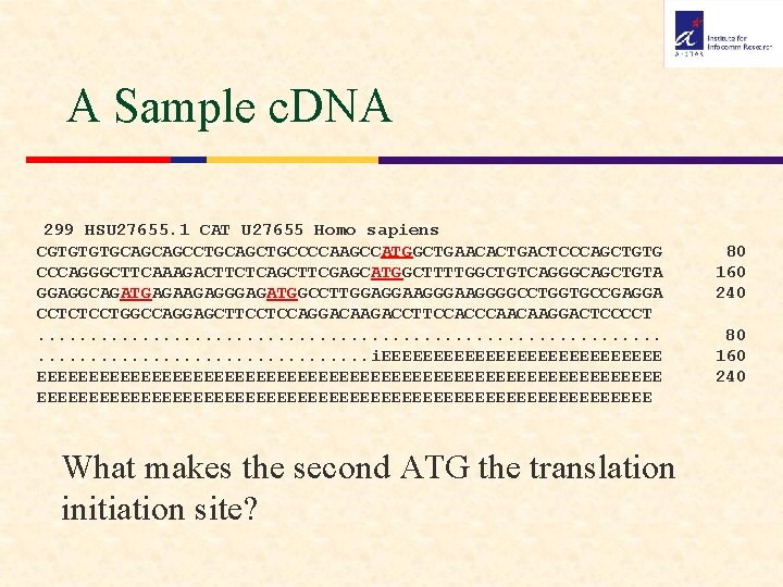 A Sample c. DNA 299 HSU 27655. 1 CAT U 27655 Homo sapiens CGTGTGTGCAGCAGCCTGCAGCTGCCCCAAGCCATGGCTGAACACTGACTCCCAGCTGTG