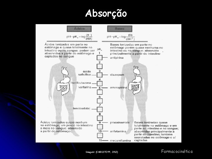 Absorção Imagem: (CHRISTOFF, 2013) Farmacocinética 