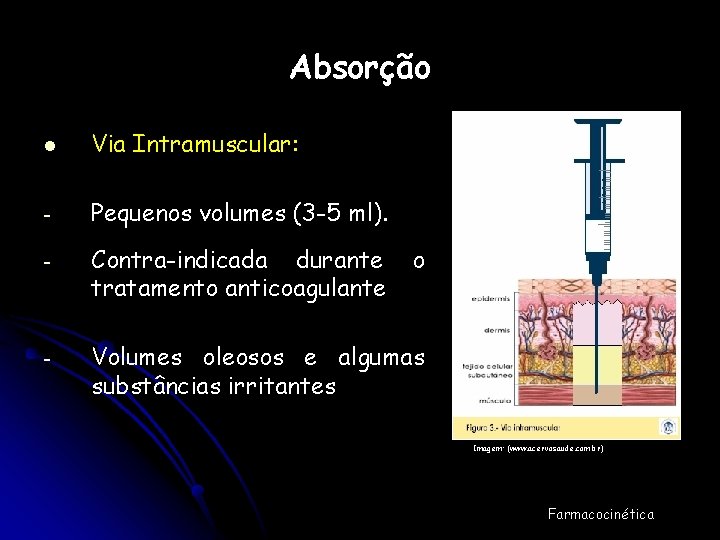 Absorção l Via Intramuscular: - Pequenos volumes (3 -5 ml). - Contra-indicada durante tratamento