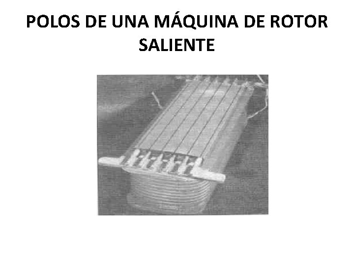 POLOS DE UNA MÁQUINA DE ROTOR SALIENTE POLOS DE UNA MÁQUINA DE ROTOR SALIENTE