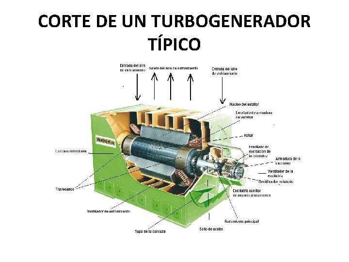 CORTE DE UN TURBOGENERADOR TÍPICO CORTE DE UN TURBOGENERADOR TÍPICO