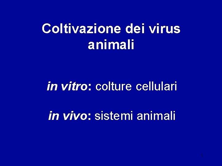 Coltivazione dei virus animali in vitro: colture cellulari in vivo: sistemi animali 1 