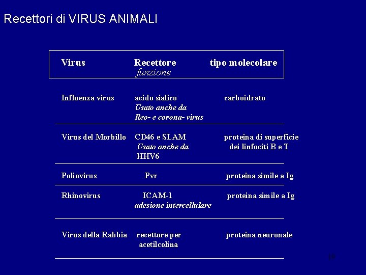 Recettori di VIRUS ANIMALI Virus Recettore funzione Influenza virus acido sialico Usato anche da