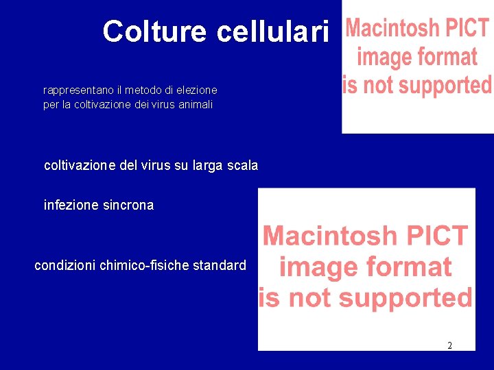 Colture cellulari rappresentano il metodo di elezione per la coltivazione dei virus animali coltivazione