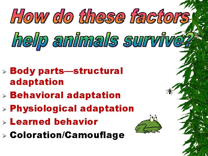 Ø Ø Ø Body parts—structural adaptation Behavioral adaptation Physiological adaptation Learned behavior Coloration/Camouflage 