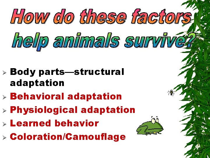 Ø Ø Ø Body parts—structural adaptation Behavioral adaptation Physiological adaptation Learned behavior Coloration/Camouflage 