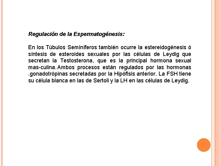 Regulación de la Espermatogénesis: En los Túbulos Seminíferos también ocurre la estereidogénesis ó síntesis