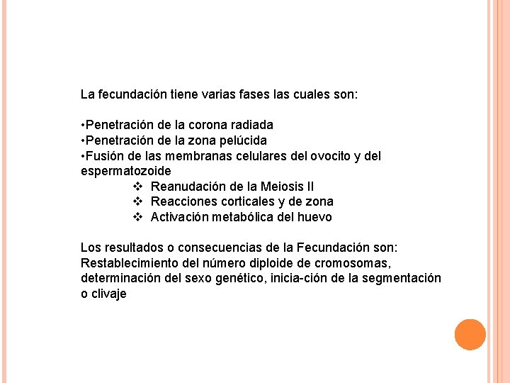 La fecundación tiene varias fases las cuales son: • Penetración de la corona radiada