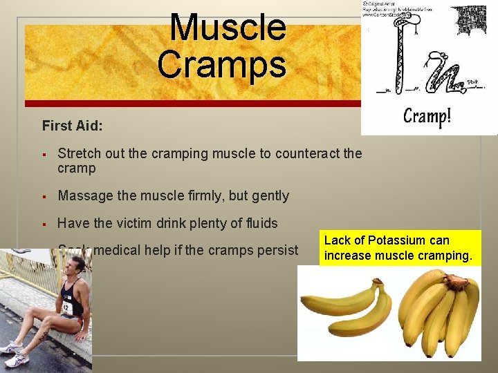 Muscle Cramps First Aid: § Stretch out the cramping muscle to counteract the cramp