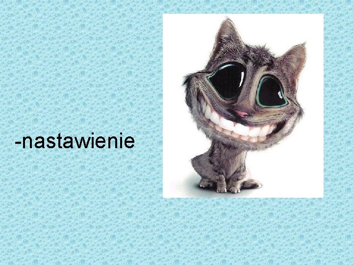 -nastawienie 