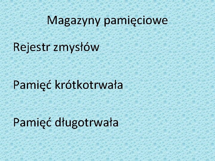 Magazyny pamięciowe Rejestr zmysłów Pamięć krótkotrwała Pamięć długotrwała 