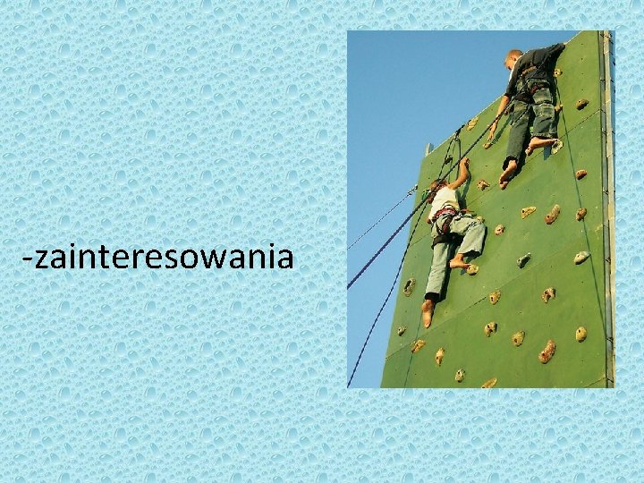 -zainteresowania 