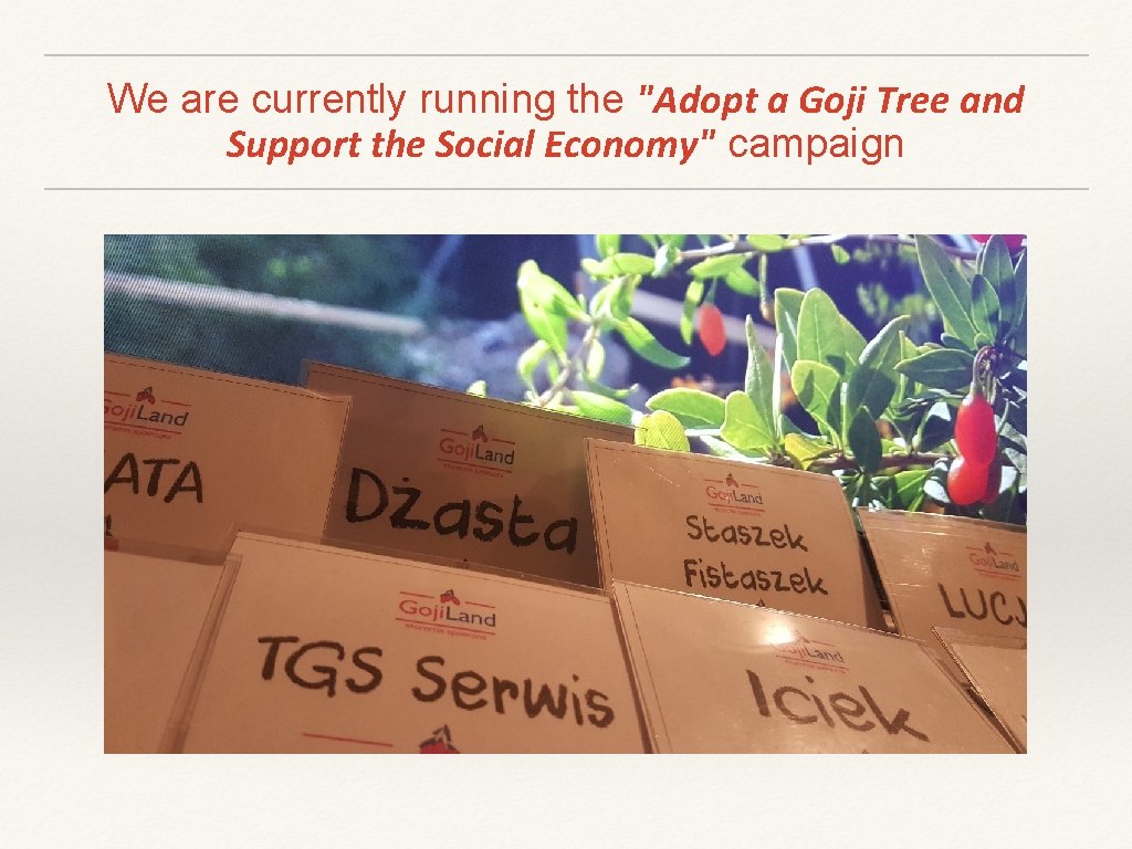 We are currently running the "Adopt a Goji Tree and Support the Social Economy"