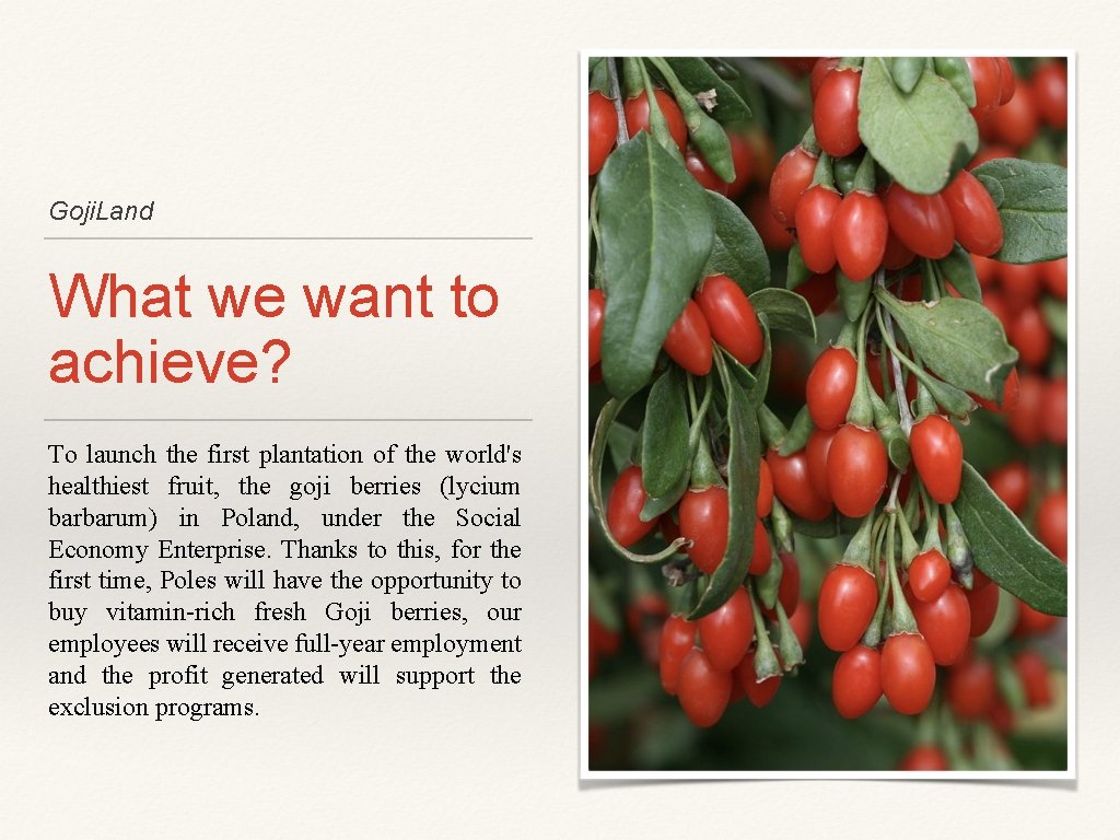 Goji. Land What we want to achieve? To launch the first plantation of the