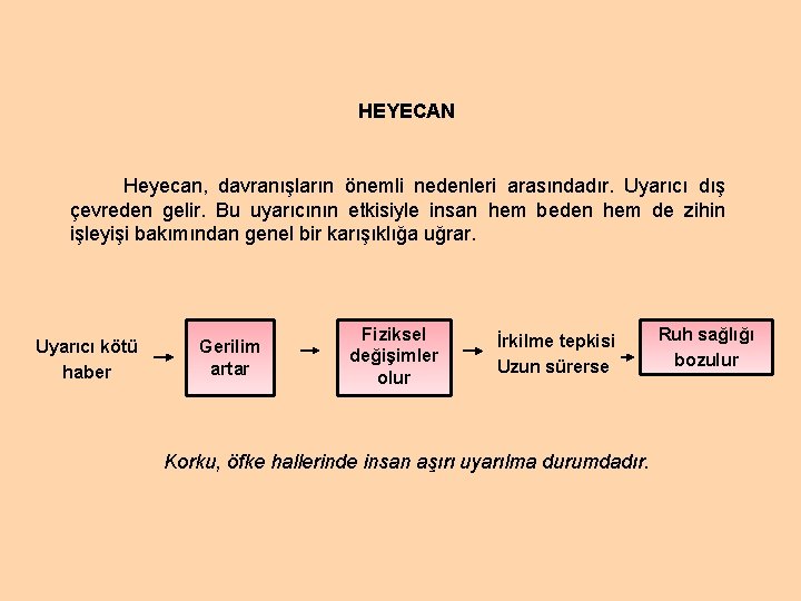 HEYECAN Heyecan, davranışların önemli nedenleri arasındadır. Uyarıcı dış çevreden gelir. Bu uyarıcının etkisiyle insan