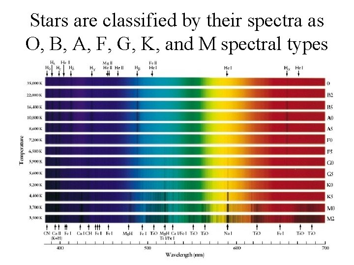 Stars are classified by their spectra as O, B, A, F, G, K, and