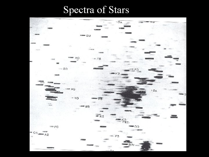 Spectra of Stars Spectra of Stars