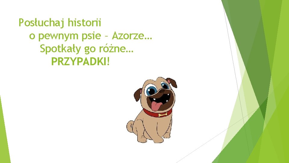 Posłuchaj historii o pewnym psie – Azorze… Spotkały go różne… PRZYPADKI! 