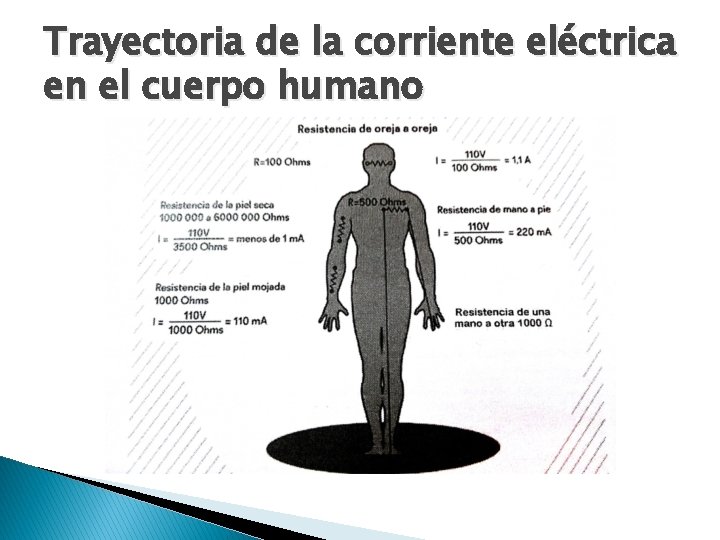 Trayectoria de la corriente eléctrica en el cuerpo humano 