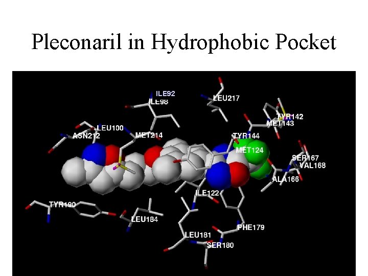 Pleconaril in Hydrophobic Pocket ILE 92 