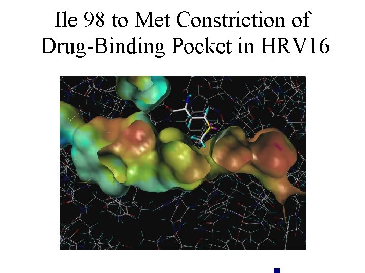 Ile 98 to Met Constriction of Drug-Binding Pocket in HRV 16 