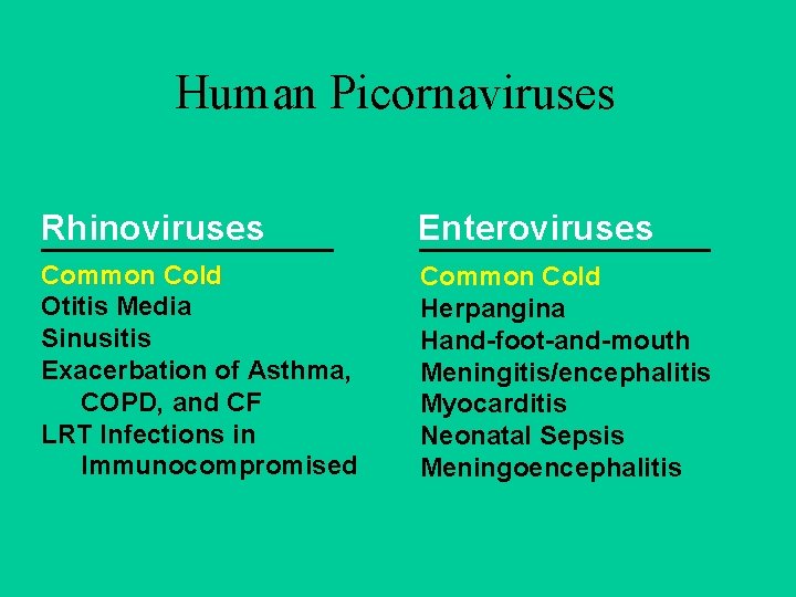 Human Picornaviruses Rhinoviruses Enteroviruses Common Cold Otitis Media Sinusitis Exacerbation of Asthma, COPD, and