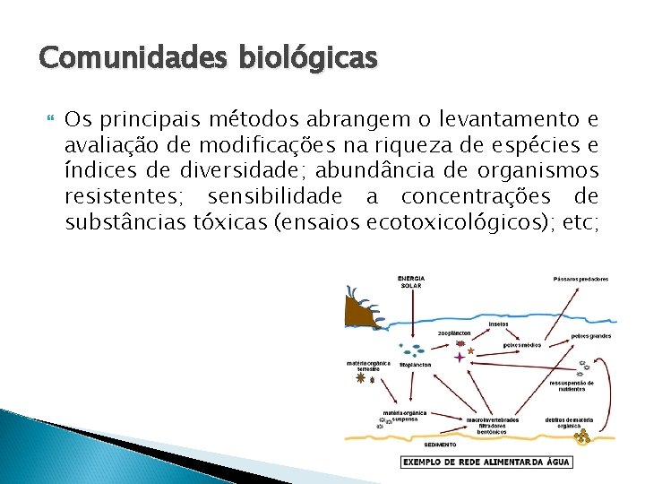 Comunidades biológicas Os principais métodos abrangem o levantamento e avaliação de modificações na riqueza