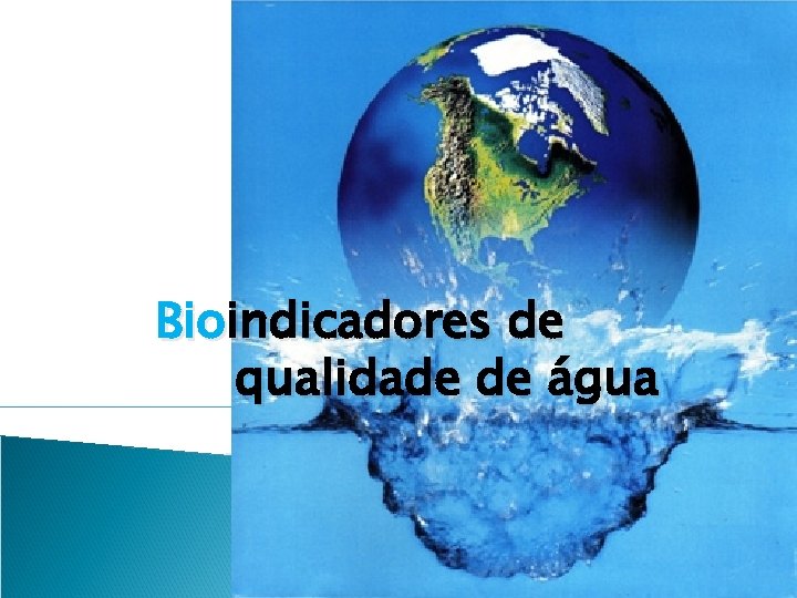 Bioindicadores de qualidade de água 