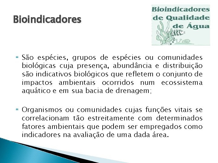 Bioindicadores São espécies, grupos de espécies ou comunidades biológicas cuja presença, abundância e distribuição