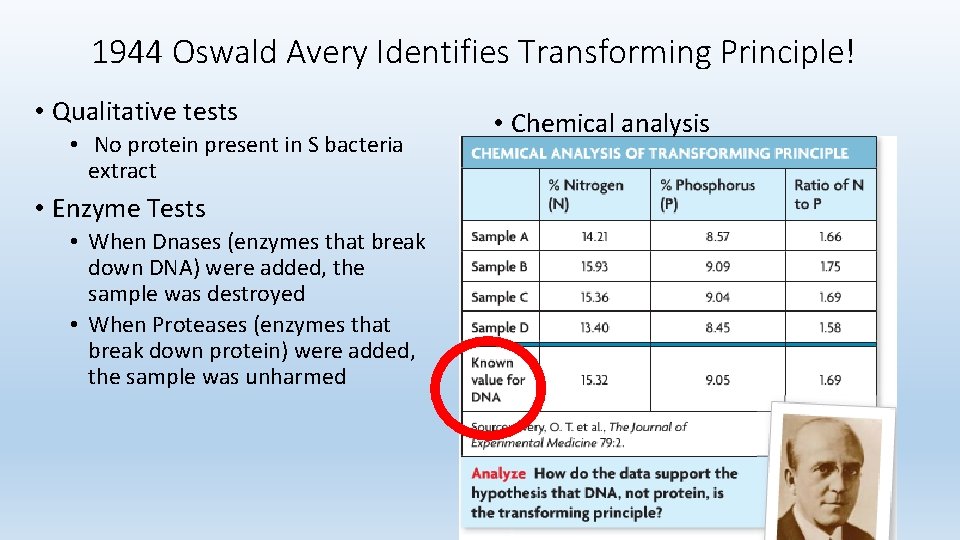 1944 Oswald Avery Identifies Transforming Principle! • Qualitative tests • No protein present in