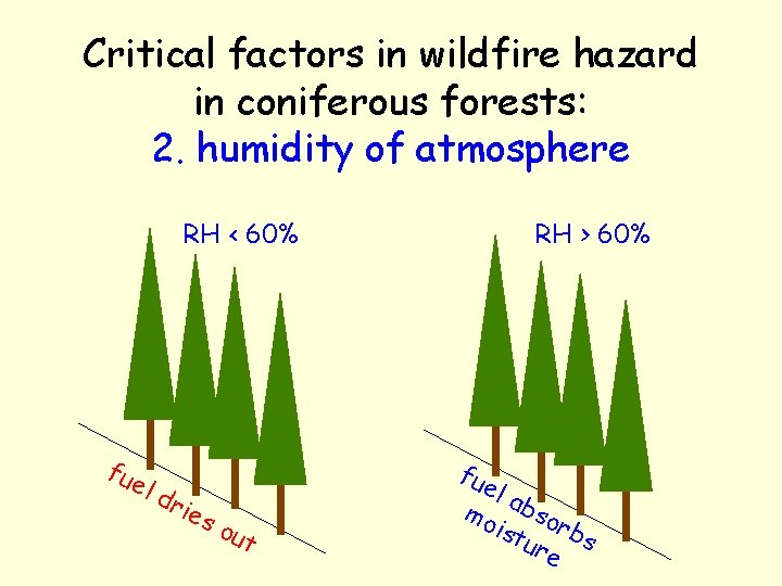 Critical factors in wildfire hazard in coniferous forests: 2. humidity of atmosphere RH <