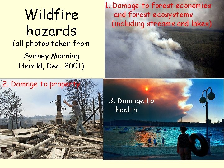 Wildfire hazards 1. Damage to forest economies and forest ecosystems (including streams and lakes)
