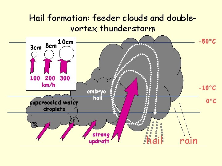 Hail formation: feeder clouds and doublevortex thunderstorm 3 cm 8 cm 100 200 300