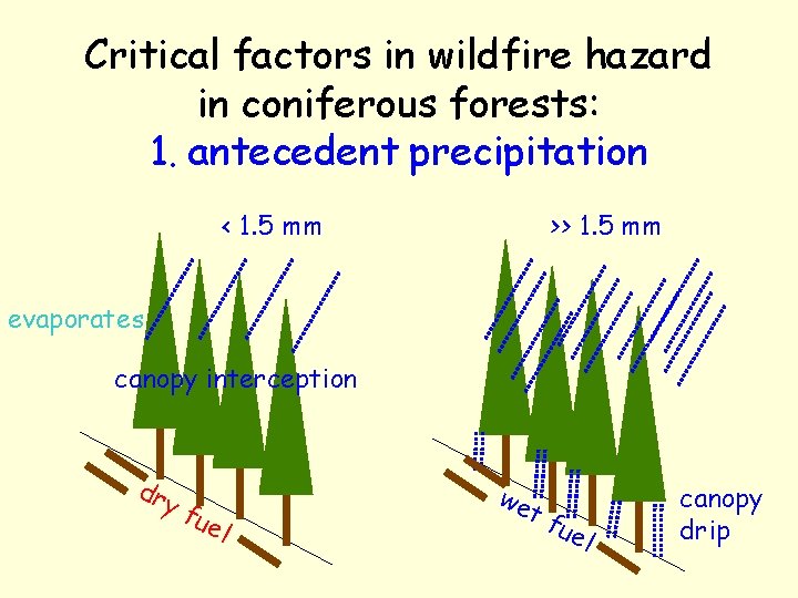 Critical factors in wildfire hazard in coniferous forests: 1. antecedent precipitation < 1. 5