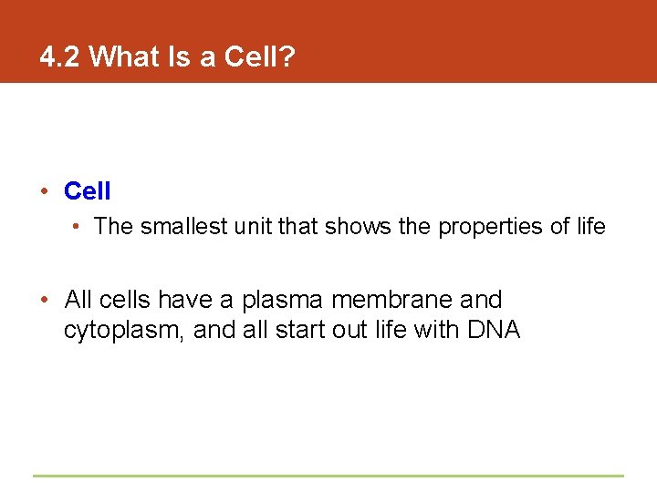 4. 2 What Is a Cell? • Cell • The smallest unit that shows