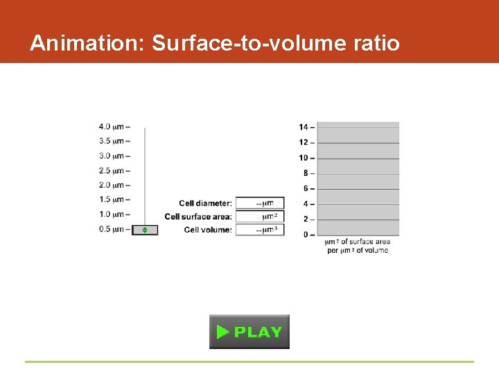 Animation: Surface-to-volume ratio 